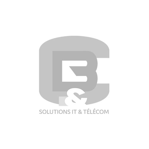 Bloc secteur universel pour Mitel 6873 SIP Phone